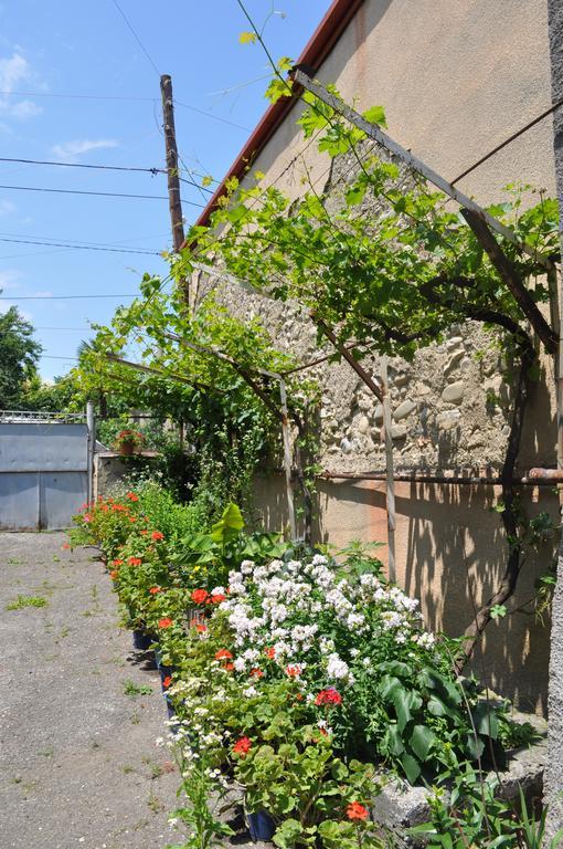 Guest House Cico Telawi Zewnętrze zdjęcie