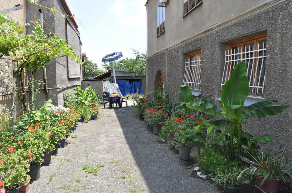 Guest House Cico Telawi Zewnętrze zdjęcie
